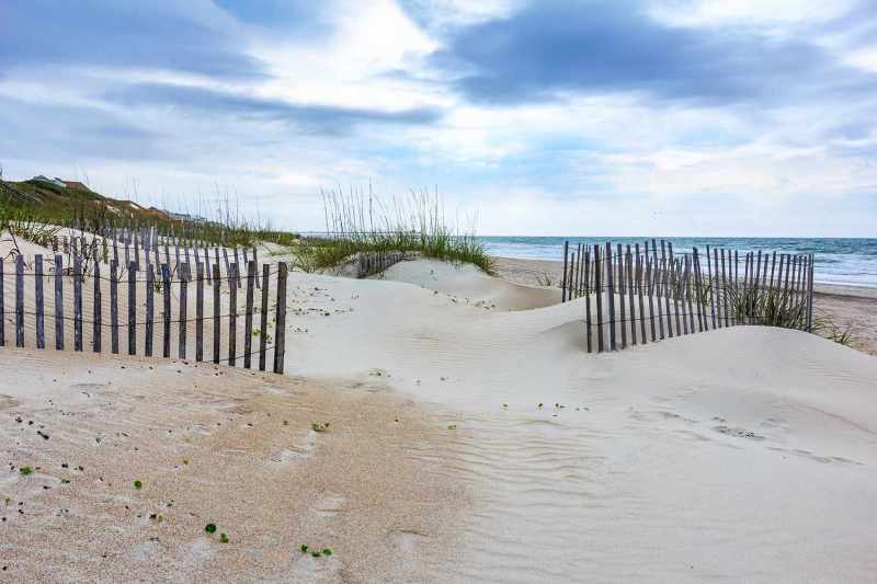 Best Dog Friendly Beaches In Nc