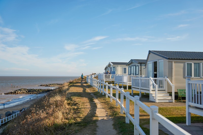 Best Dog Friendly Beaches Norfolk