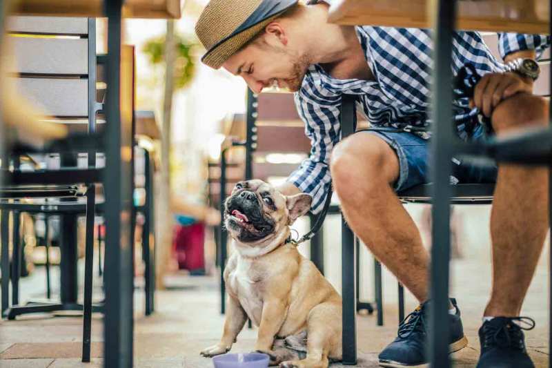 Best Dog Friendly Cafes York