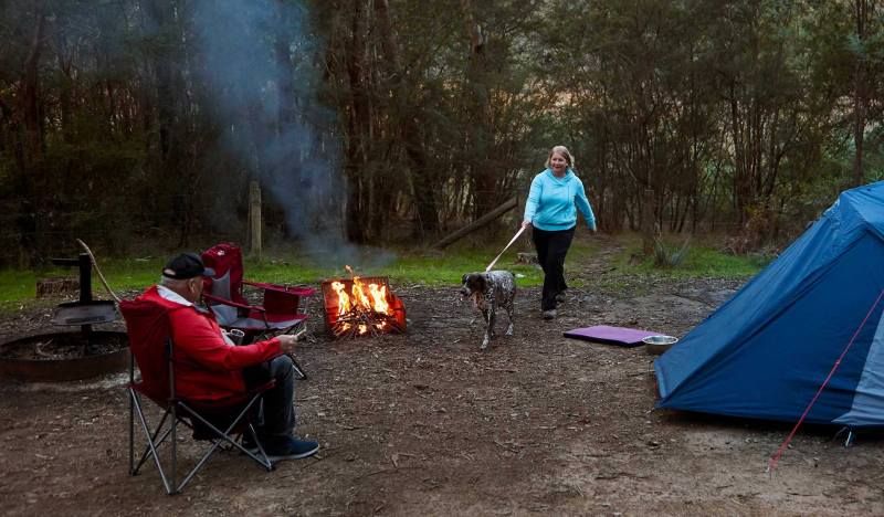 Best Dog Friendly Camping Victoria