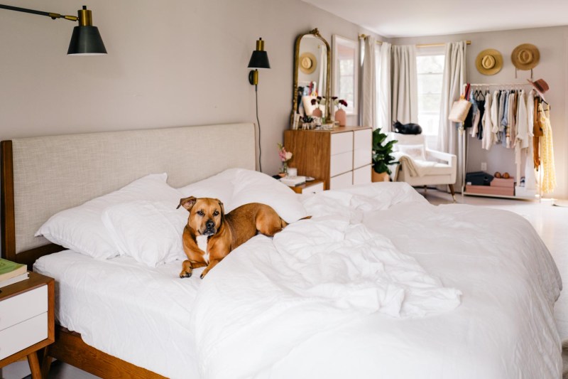 Best Dog Friendly Duvet Covers