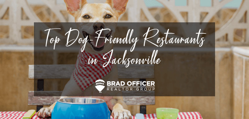 Best Dog Friendly Food Places Near Me