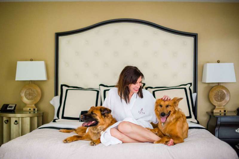 Best Dog Friendly Getaways