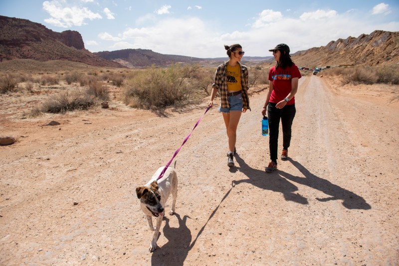 Best Dog Friendly Hikes In Us