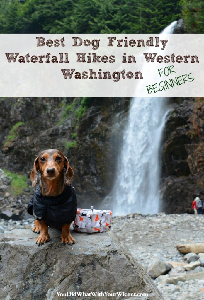 Best Dog Friendly Hikes Washington