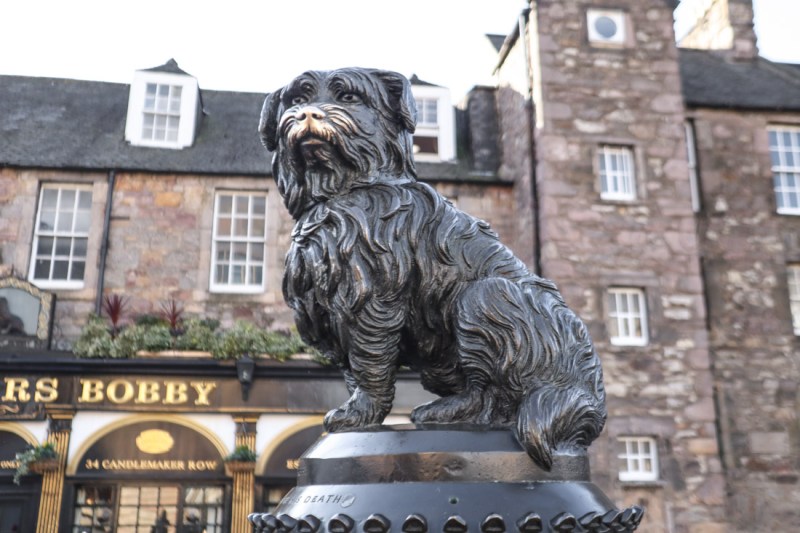 Best Dog Friendly Hotels Scotland