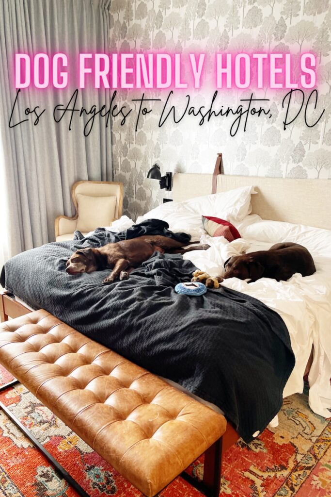 Best Dog Friendly Hotels