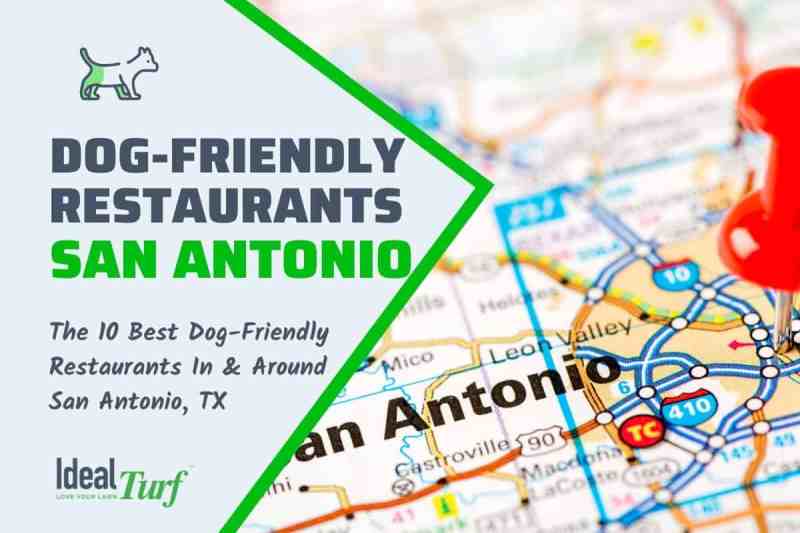 Best Dog Friendly Patios Near Me