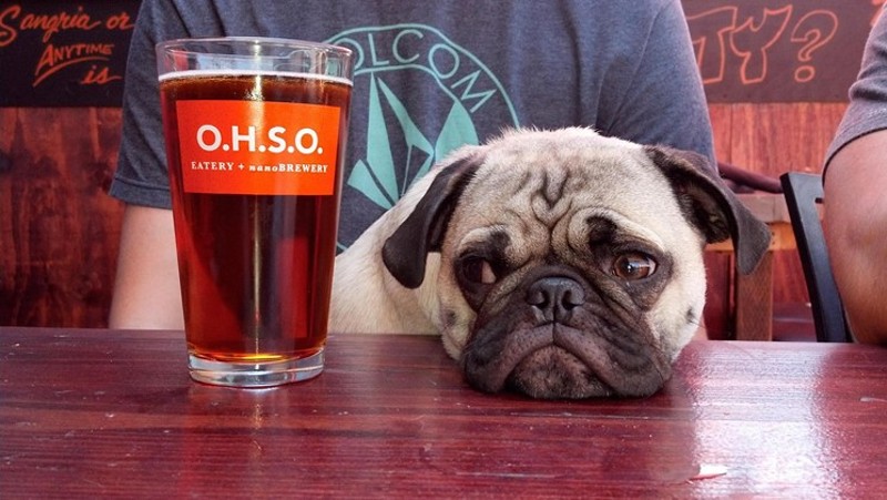 Best Dog Friendly Patios