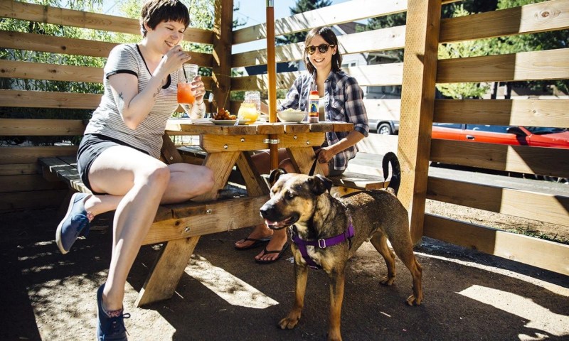 Best Dog Friendly Pubs Near Me Now