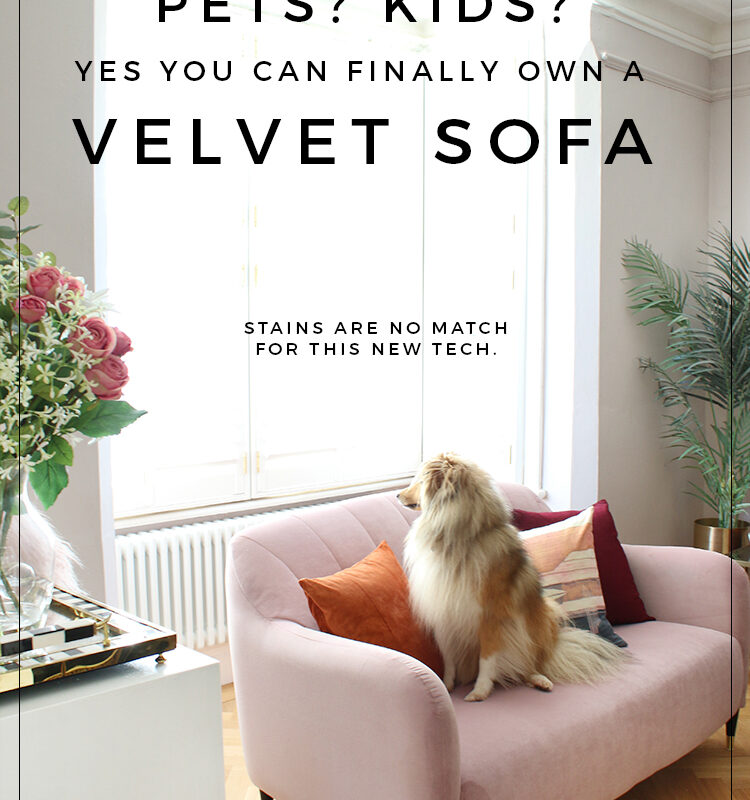 Best Dog Friendly Sofas Uk