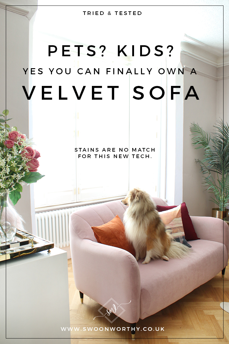 Best Dog Friendly Sofas Uk