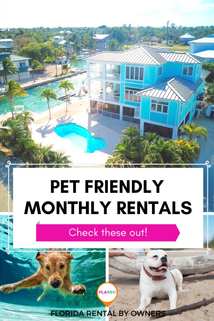 Best Dog Friendly Towns In Florida