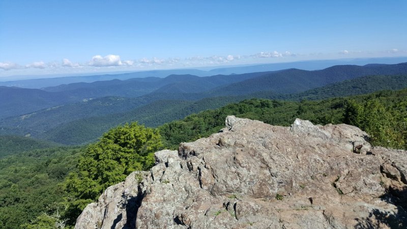 Best Dog Friendly Trails Shenandoah National Park