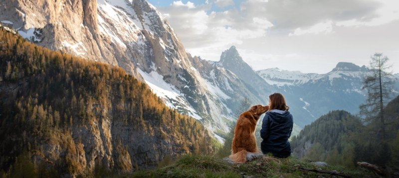 Best Dog Friendly Travel Destinations