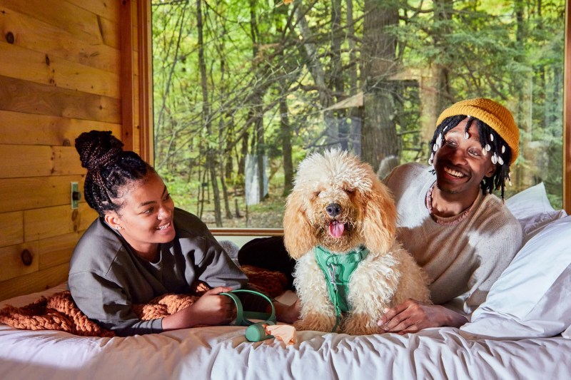 Best Dog Friendly Vacation Spots