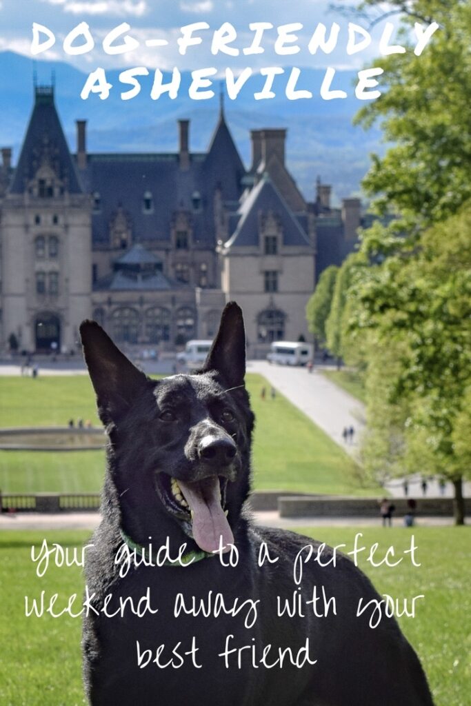 Best Dog Friendly Weekend Getaways