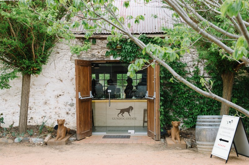 Best Dog Friendly Wineries Hunter Valley