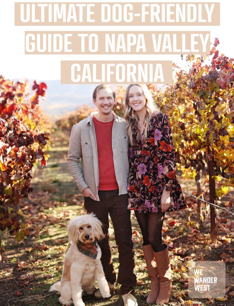 Best Dog Friendly Wineries In Napa