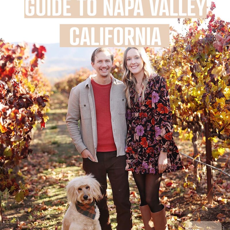 Best Dog Friendly Wineries In Napa