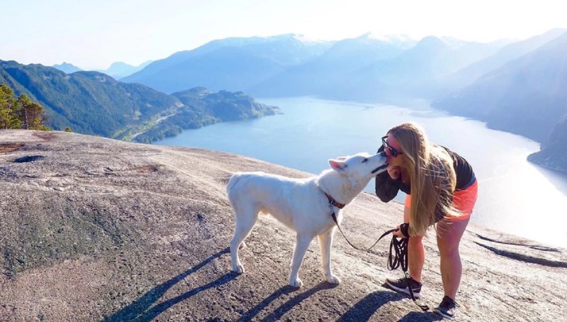 Best Hiking Vacations With Dogs