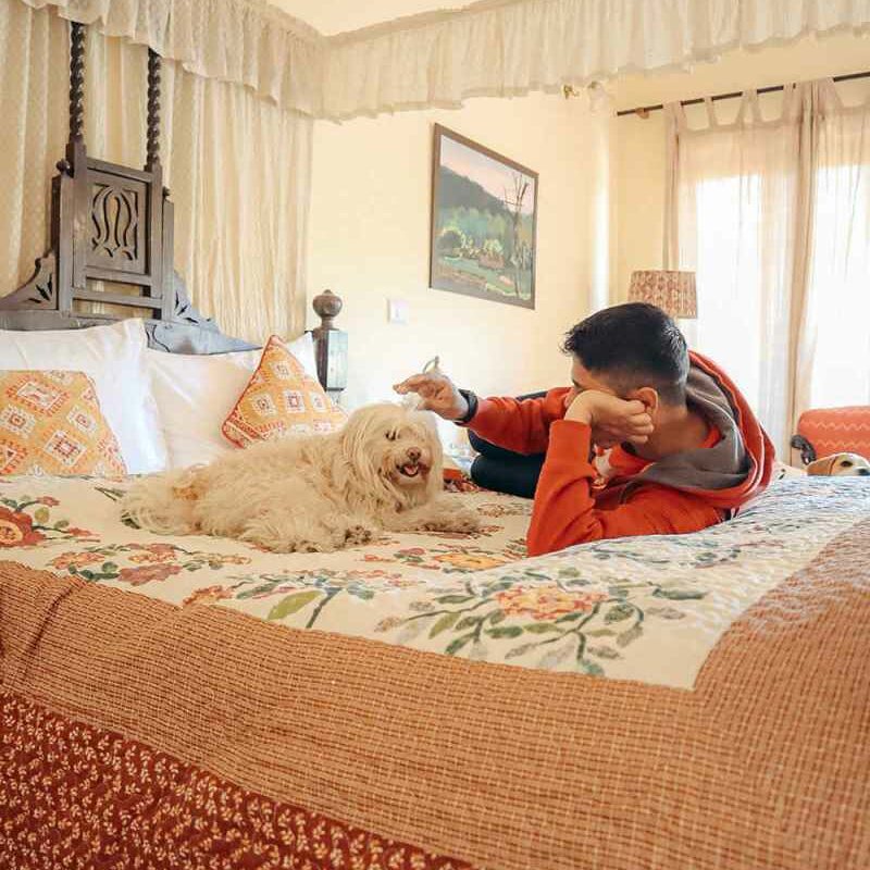 Best Pet Friendly Resorts In Jaipur