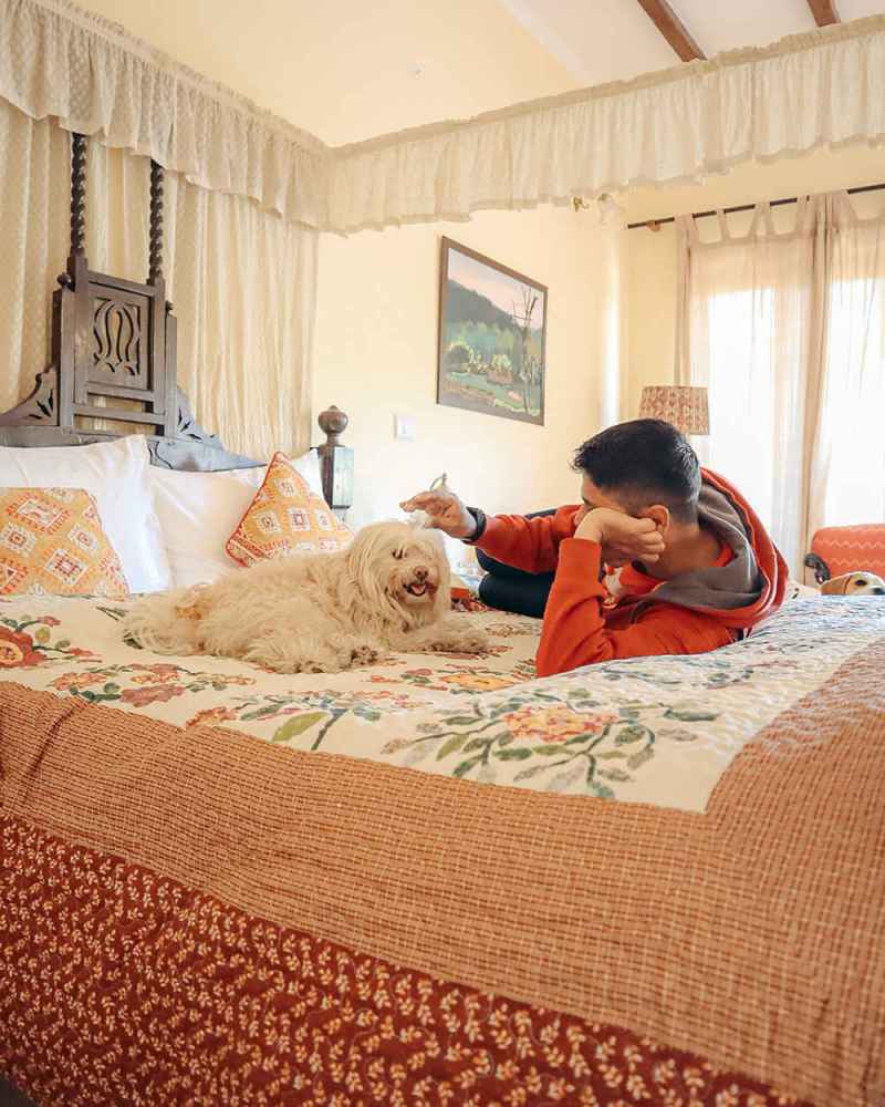 Best Pet Friendly Resorts In Jaipur