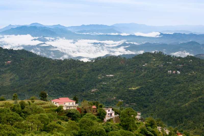 Best Pet Friendly Resorts In Kasauli