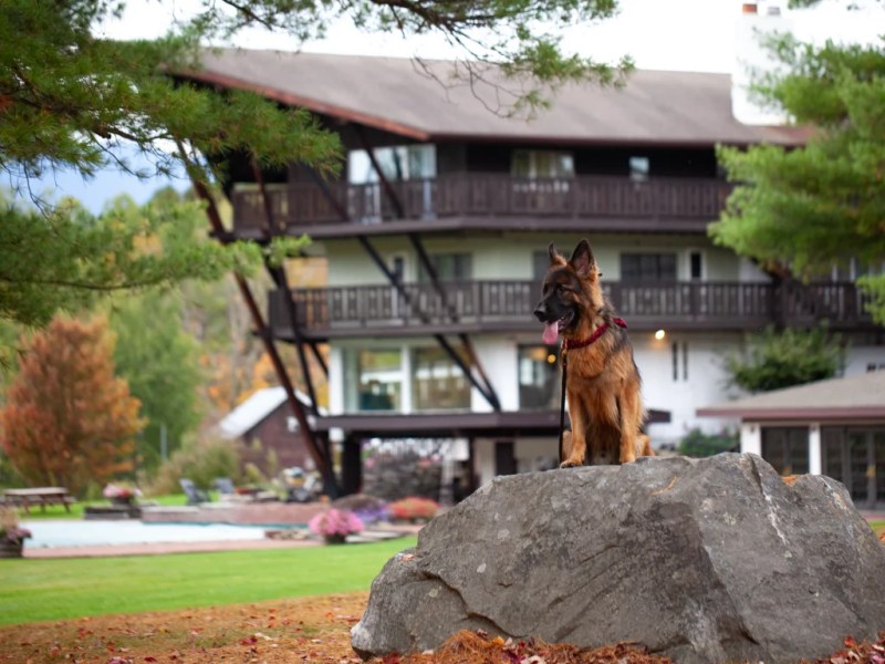 Best Pet Friendly Resorts New England