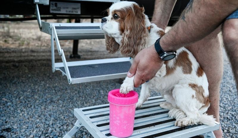 Best Pet Friendly Travel Trailers