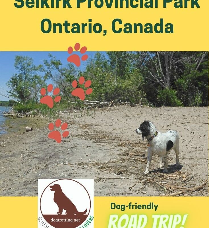 Dog Friendly Day Trips Near Me