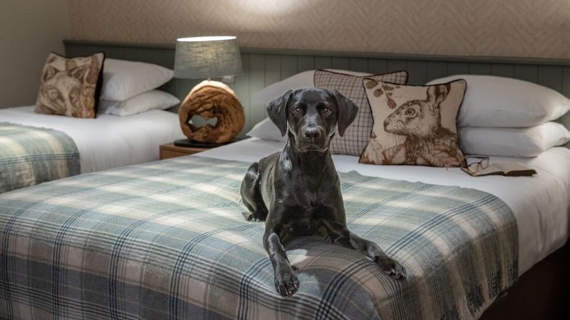 Dog Friendly Hotels East Coast Yorkshire