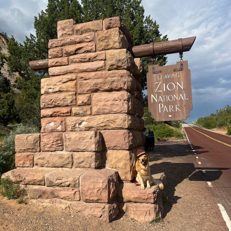 Dog Friendly Lodging Zion National Park