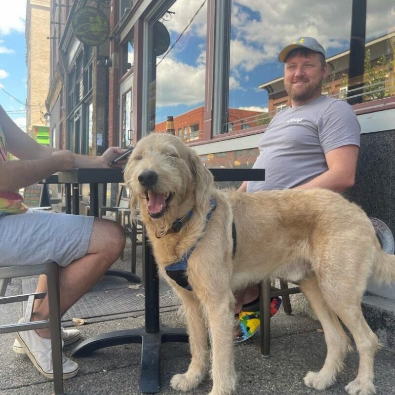 Dog Friendly Restaurants And Bars Near Me