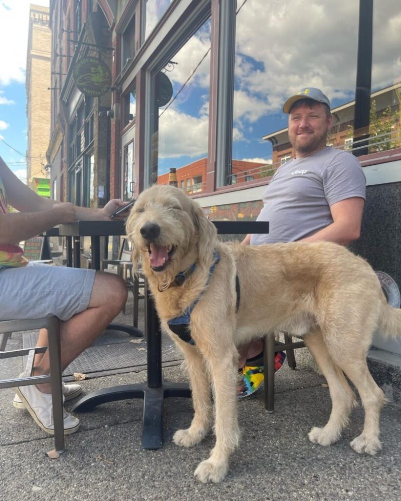 Dog Friendly Restaurants And Bars Near Me