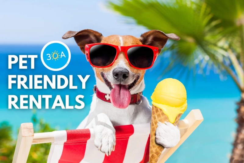 Dog Friendly Vacation Rentals