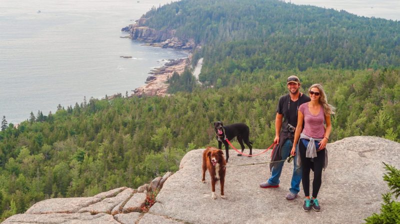 Dog Friendly Vacations In Maine