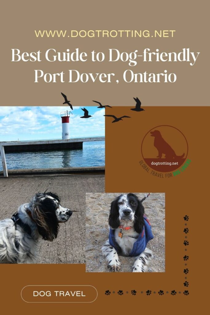 Dog Friendly Vacations In Pa