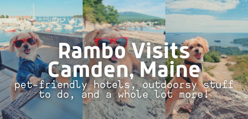 Dog Friendly Vacations Maine