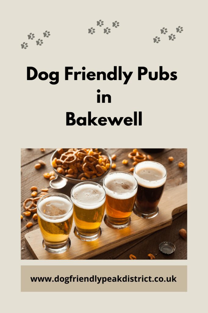 Good Dog Friendly Pubs Near Me