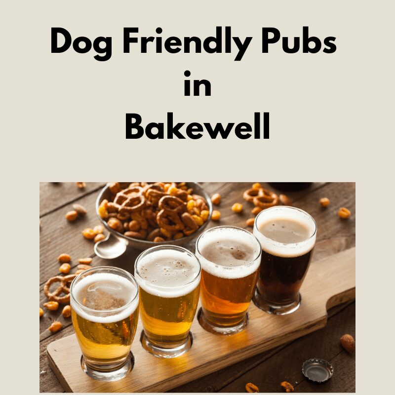 Good Dog Friendly Pubs Near Me