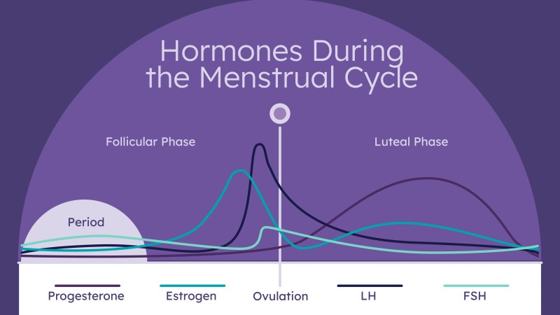 If I Miss My Period When Will I Ovulate