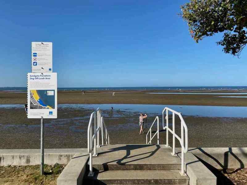 Off Leash Dog Friendly Beaches Near Me