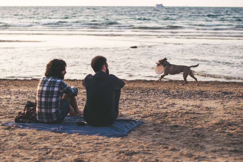 Pet Friendly Beach Vacations Near Me