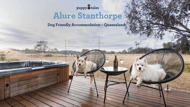 Pet Friendly Holidays Qld