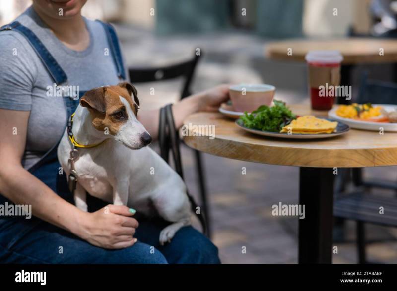 Restaurants Near Me With Outdoor Seating Dog Friendly