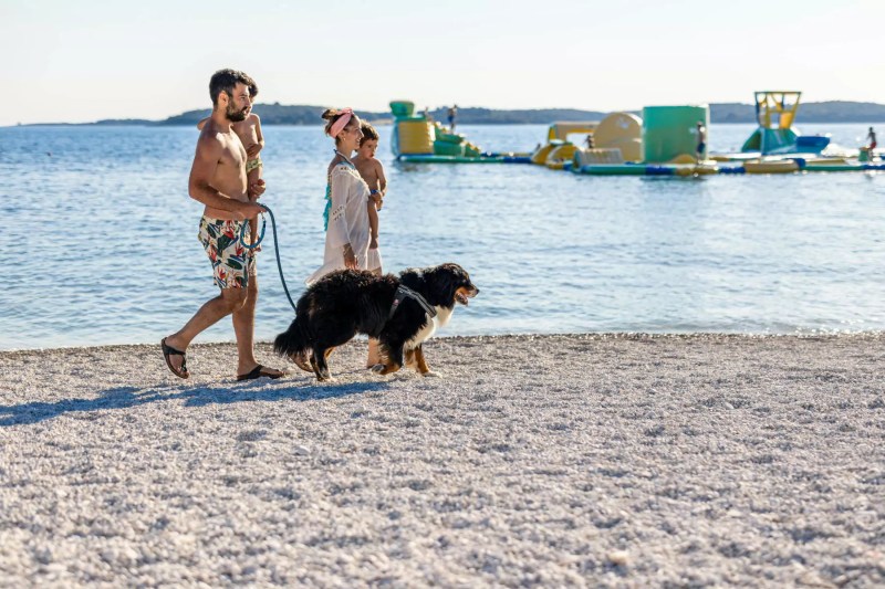 Beach Vacations With Dogs