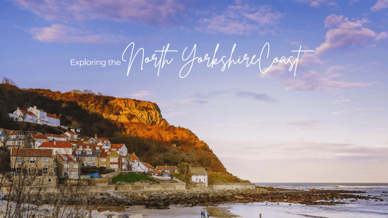 Best Dog Friendly Beaches Yorkshire