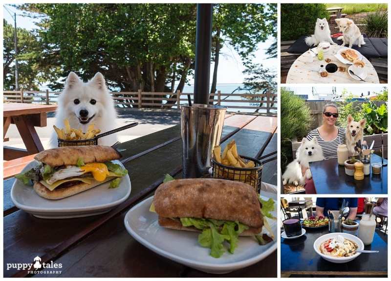 Best Dog Friendly Cafes Near Me For Lunch