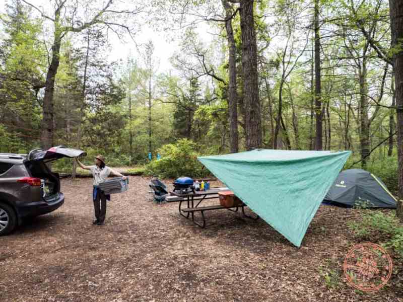 Best Dog-friendly Camping Ontario